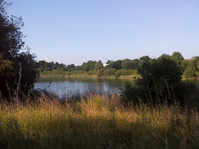 Image for Kreidebergsee 2014-96