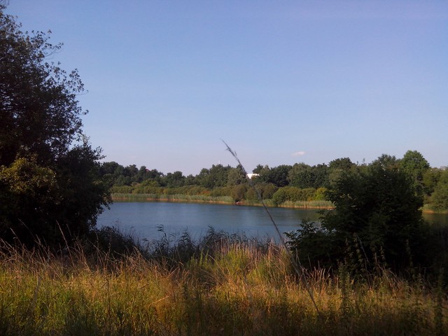 Image for Kreidebergsee 2014-97