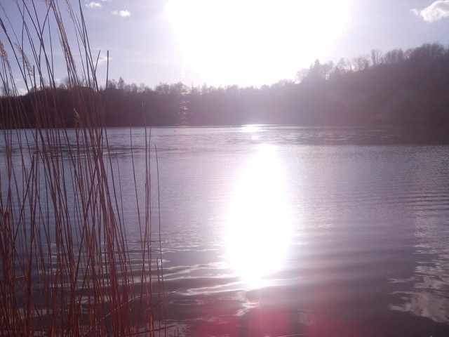 Image for Kreidebergsee 2015-03