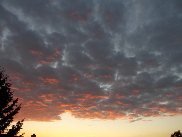 Image for Himmel 2013-03