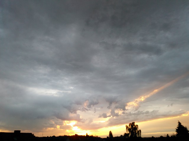 Image for Himmel 2017-06