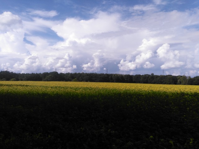 Image for Himmel 2017-18