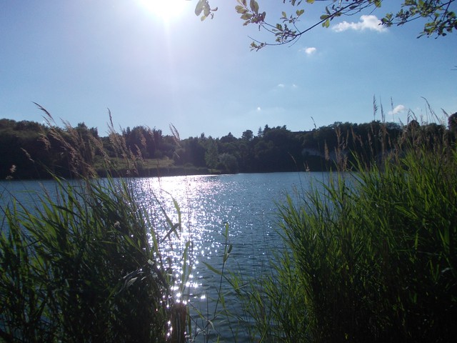 Image for Kreidebergsee 2014-28