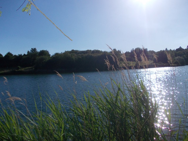 Image for Kreidebergsee 2014-30