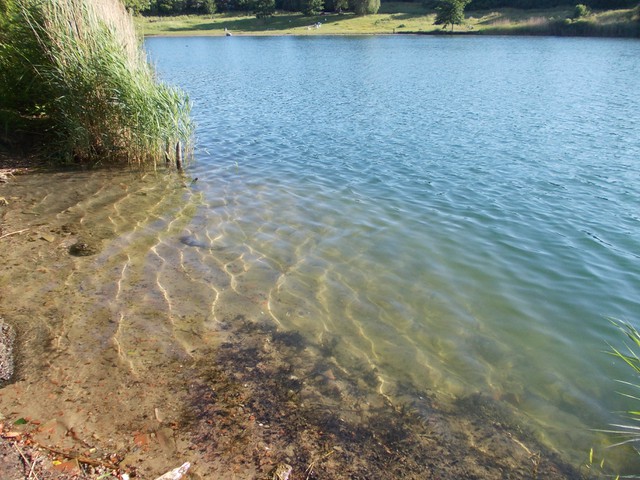 Image for Kreidebergsee 2014-31