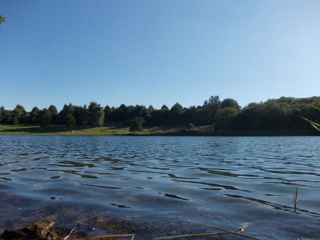 Image for Kreidebergsee 2014-36