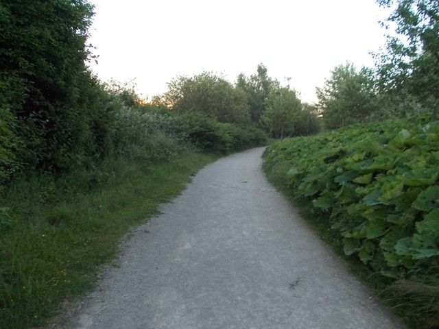 Image for Kreidebergsee 2014-43